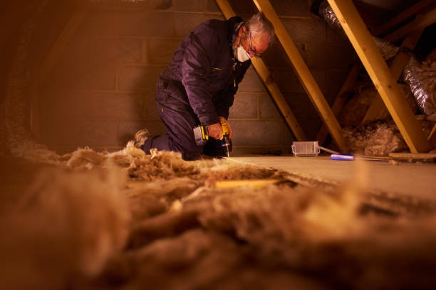 Best Crawl Space Insulation  in Slocom, AL